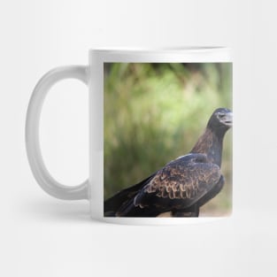 Eagle Stare Mug